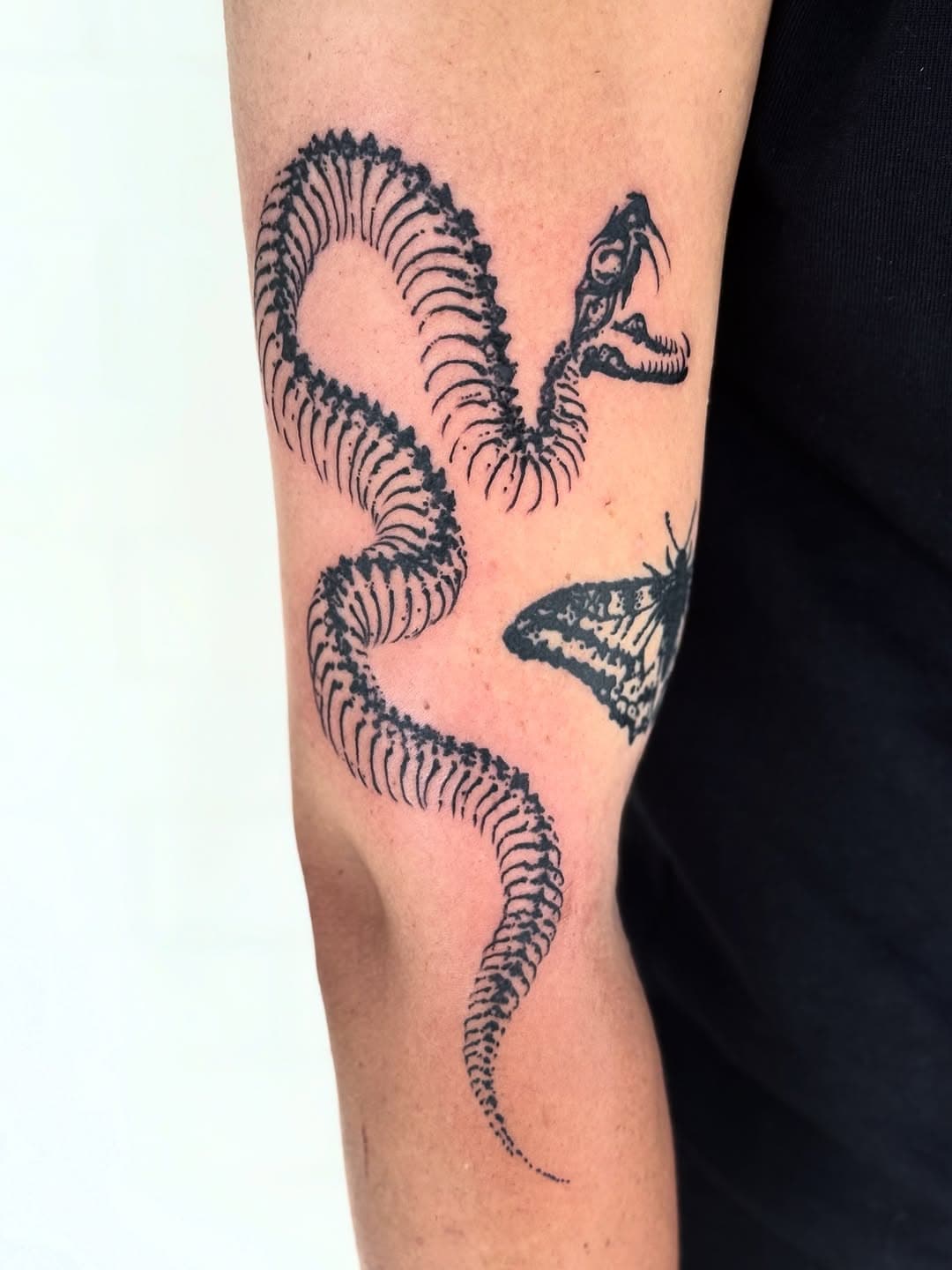 Black and grey fine-line tattoo of a dinosaur skeleton intertwined with a butterfly on forearm in illustrative style