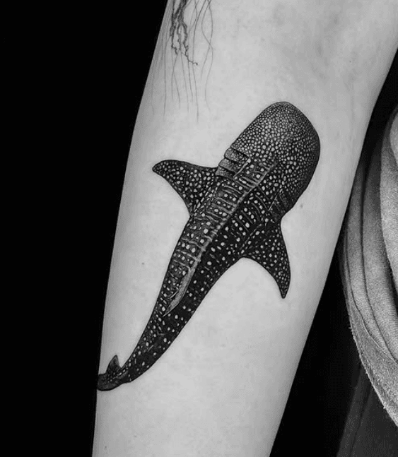 sierra β¨ microrealism tattoo artist tattoo work